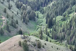 1 Na, Woodruff, UT 84086 - Photo 15