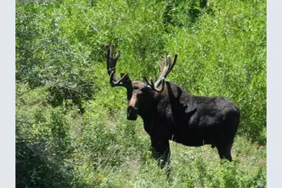 8153 John Fremont Dr #H212, Huntsville, UT 84317 - Photo 25