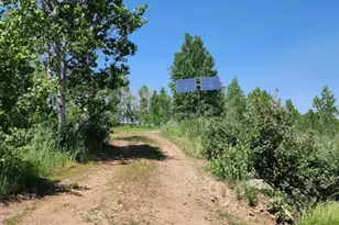 8153 John Fremont Dr, Huntsville, UT 84317 - Photo 19