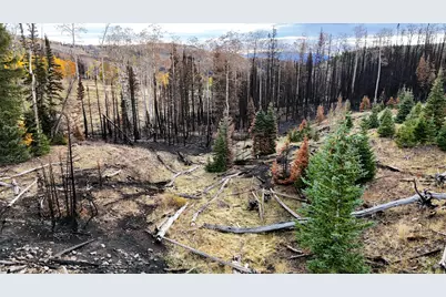 123 Tbd Monroe Canyon Rd, Monroe, UT 84754 - Photo 23