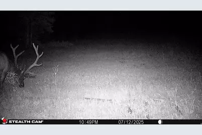 123 Tbd Monroe Canyon Rd, Monroe, UT 84754 - Photo 11