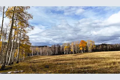 123 Tbd Monroe Canyon Rd, Monroe, UT 84754 - Photo 49