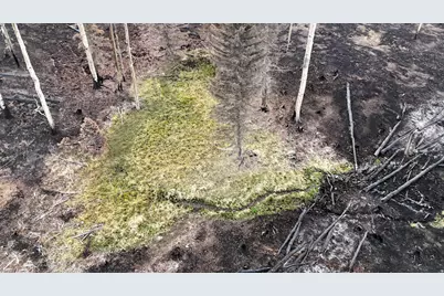 123 Tbd Monroe Canyon Rd, Monroe, UT 84754 - Photo 47