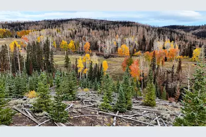 123 Tbd Monroe Canyon Rd, Monroe, UT 84754 - Photo 5