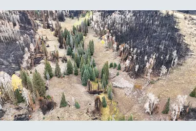 123 Tbd Monroe Canyon Rd, Monroe, UT 84754 - Photo 31