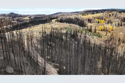 123 Tbd Monroe Canyon Rd, Monroe, UT 84754 - Photo 27