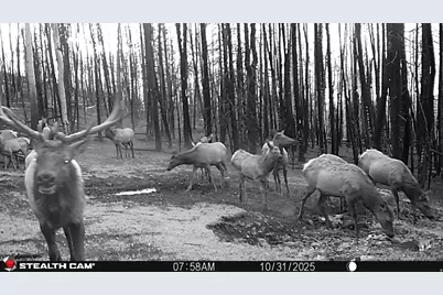 123 Tbd Monroe Canyon Rd, Monroe, UT 84754 - Photo 13