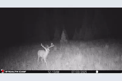 123 Tbd Monroe Canyon Rd, Monroe, UT 84754 - Photo 9