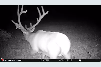 123 Tbd Monroe Canyon Rd, Monroe, UT 84754 - Photo 7