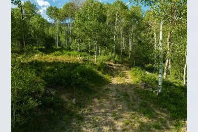 5592 Fremont Trl #85, Oakley, UT 84055 - Photo 45