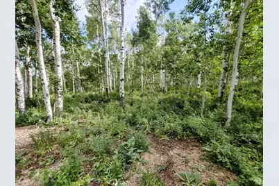 11457 E Marigold Ln #1663, Heber City, UT 84032 - Photo 9