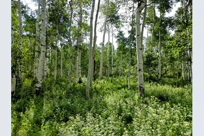 11457 E Marigold Ln #1663, Heber City, UT 84032 - Photo 7