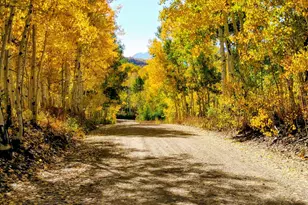 11457 E Marigold Ln, Heber City, UT 84032 - Photo 1