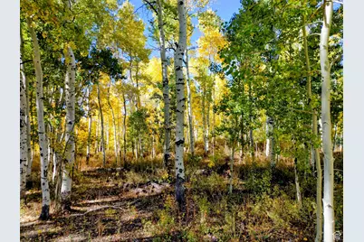 11457 E Marigold Ln #1663, Heber City, UT 84032 - Photo 5