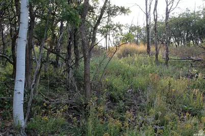 1747 S Beaver Bench E #1421, Heber City, UT 84032 - Photo 11