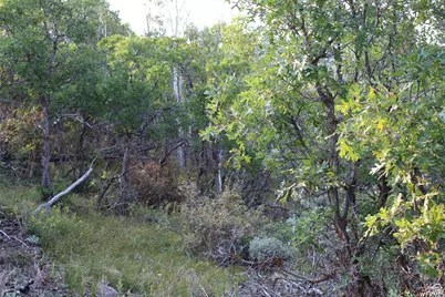 1747 S Beaver Bench E #1421, Heber City, UT 84032 - Photo 3