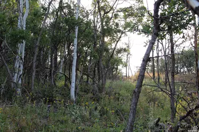 1747 S Beaver Bench E #1421, Heber City, UT 84032 - Photo 5