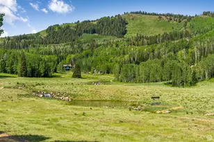 263 White Pne Cyn Rd, Park City, UT 84098 - Photo 7
