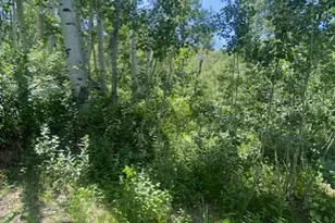 2160 S Aspen Ridge Dr, Coalville, UT 84017 - Photo 21