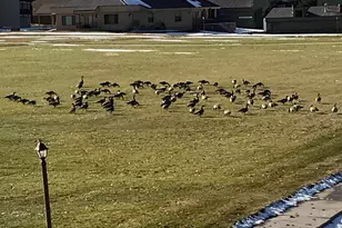 2176 S Bearlake Blvd Blvd, Garden City, UT 84028 - Photo 25