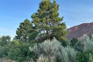 9 Chamisa Ln, Castle Valley, UT 84532 - Photo 43