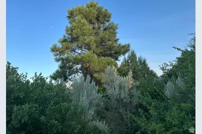 9 Chamisa Ln, Castle Valley, UT 84532 - Photo 31