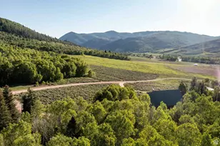 651 Spotted Fawn Ln, Oakley, UT 84055 - Photo 59