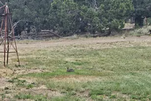 7124 S 38700 W, Fruitland, UT 84027 - Photo 37