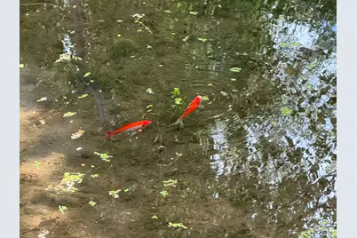 1121 E 580 Cir N, American Fork, UT 84003 - Photo 119