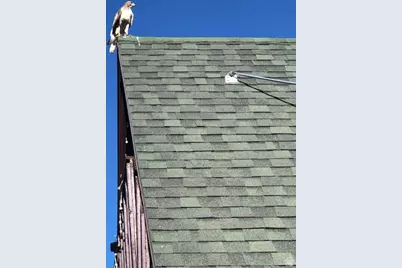 9173 E Soldier Creek Lane S #26B, Daniel, UT 84032 - Photo 73