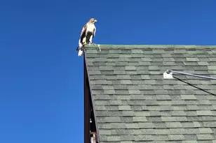 9173 E Soldier Creek Ln S, Daniel, UT 84032 - Photo 73