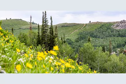 [Address not provided], Midway, UT 84049 - Photo 57