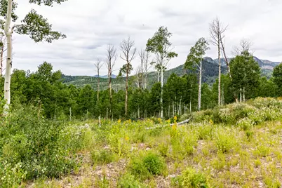 [Address not provided], Midway, UT 84049 - Photo 75