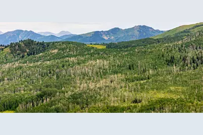 [Address not provided], Midway, UT 84049 - Photo 37