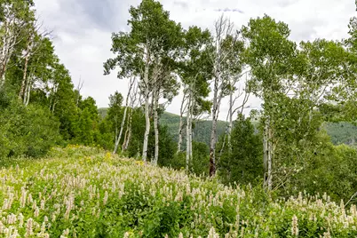 [Address not provided], Midway, UT 84049 - Photo 79