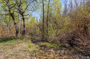 3831 E Nordic Valley Rd N, Eden, UT 84310 - Photo 39