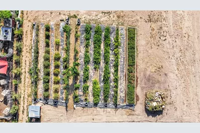 1103 N Brooklyn Rd, Monroe, UT 84754 - Photo 77