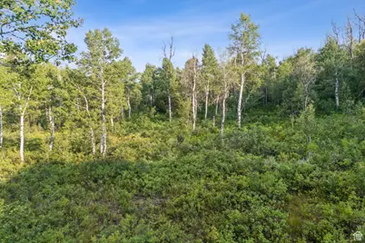 0, Woodland Hills, UT 84036 - Photo 5