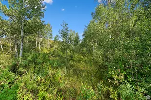 0, Woodland Hills, UT 84036 - Photo 17