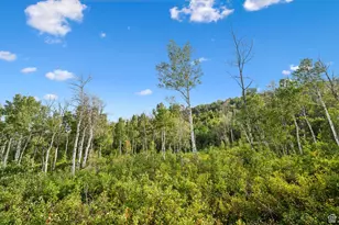 0, Woodland Hills, UT 84036 - Photo 31