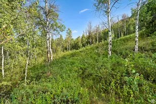 0, Woodland Hills, UT 84036 - Photo 25