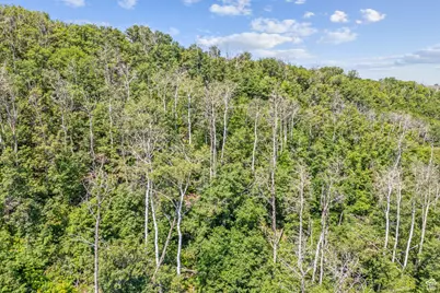 0, Woodland Hills, UT 84036 - Photo 39