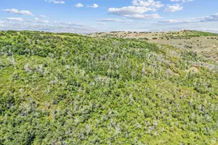 0, Woodland Hills, UT 84036 - Photo 55