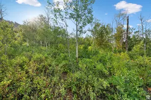 0, Woodland Hills, UT 84036 - Photo 27