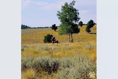 0, Sunnyside, UT 84539 - Photo 15