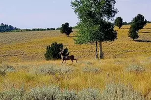 0, Sunnyside, UT 84539 - Photo 15