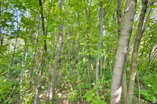 1632 S Main St, Springville, UT 84663 - Photo 87