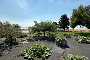 3515 W 100 S, Weston, ID 83286 - Photo 33