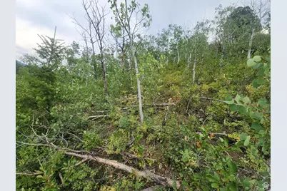 4060 E Wildlife Way N #443, Kamas, UT 84036 - Photo 29