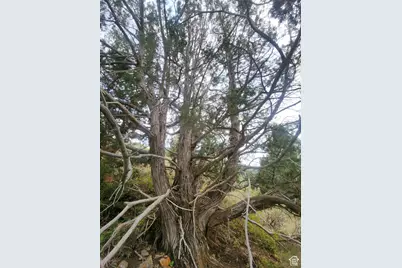 4060 E Wildlife Way N #443, Kamas, UT 84036 - Photo 15